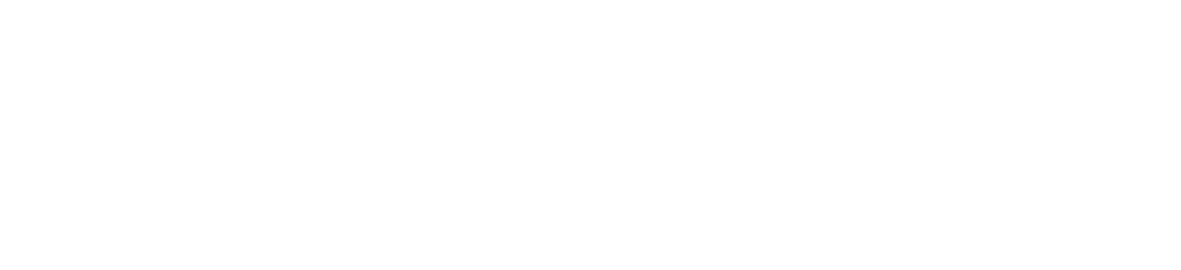 39291 logo final white